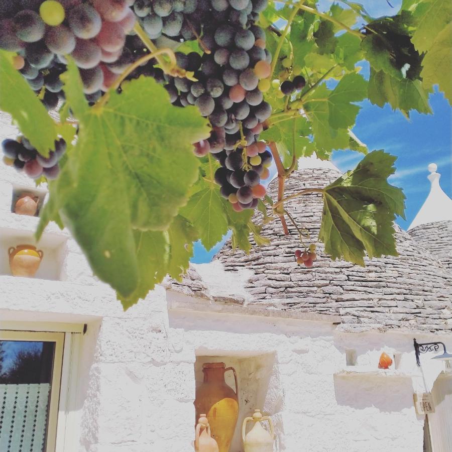 B&B Masseria Nuove Caselle Villa Castelli Zewnętrze zdjęcie