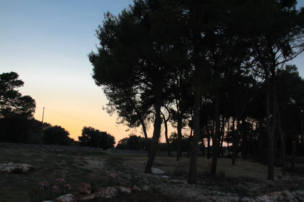 B&B Masseria Nuove Caselle Villa Castelli Zewnętrze zdjęcie